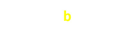 45b.com